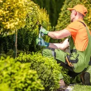 Garden care