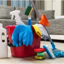 Pet stain and odour removal