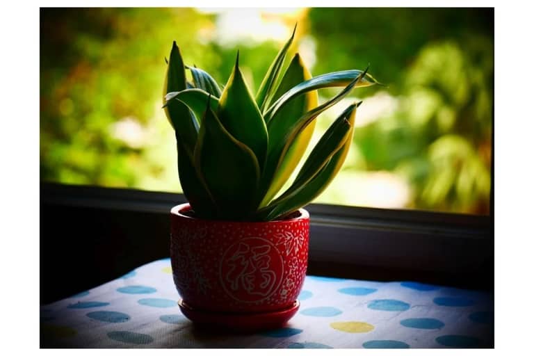 Change Windowsills