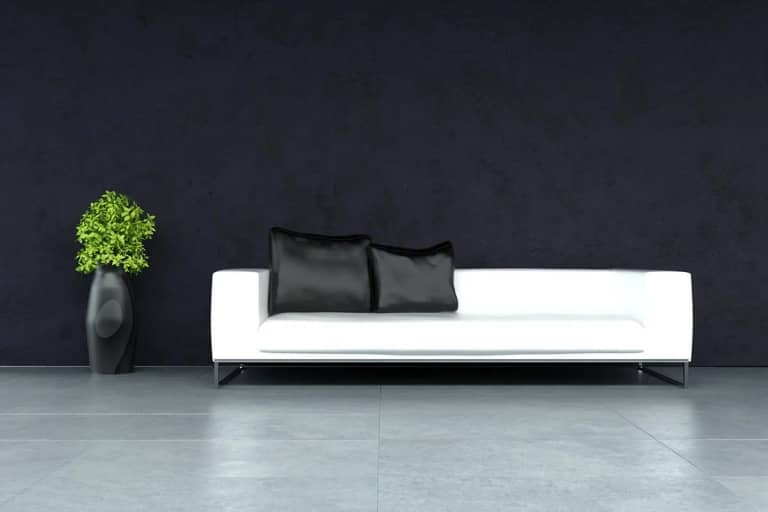 Sofa Cleaning