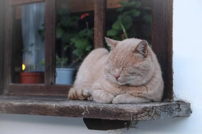 Install Windowsills