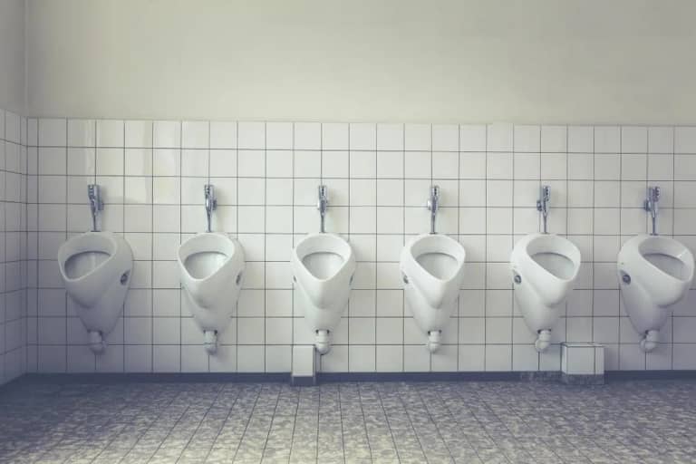 Repair Toilet