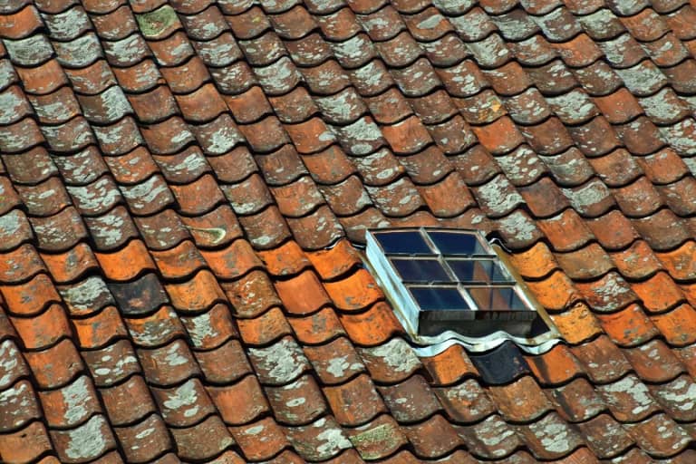 Roof Removal