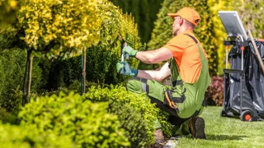 Garden Care