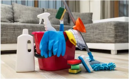 Cleaning Home
