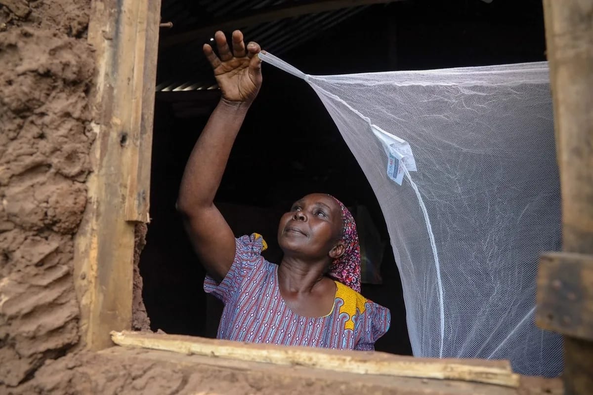 Install Mosquito Nets