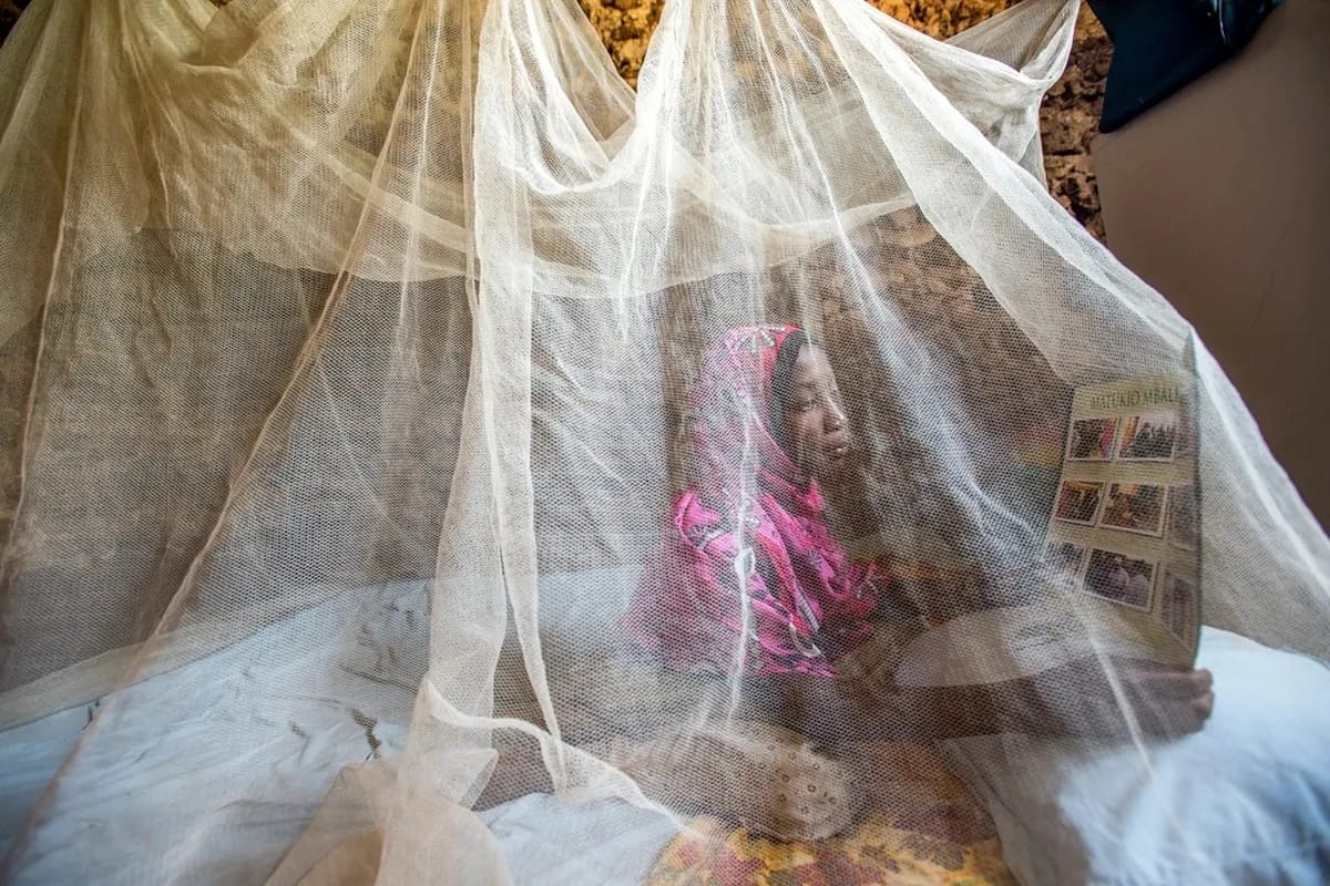 Repair Mosquito Nets