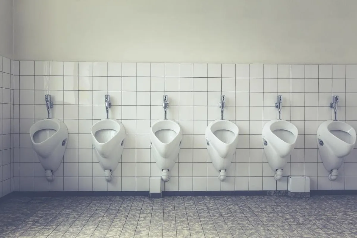 Repair Toilet