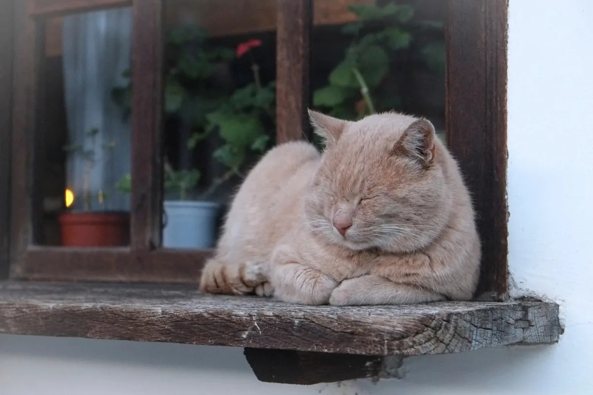 Install Windowsills